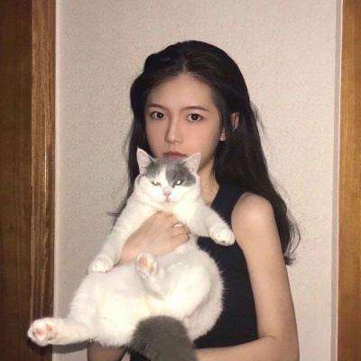 使命召唤英雄官方下载